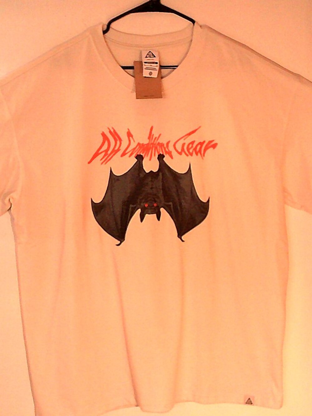 NEW NIKE Dri-FIT ACG "Upside Down Bat Tee" MEN'S SEA GLASS T-SHIRT XL IH1312-020